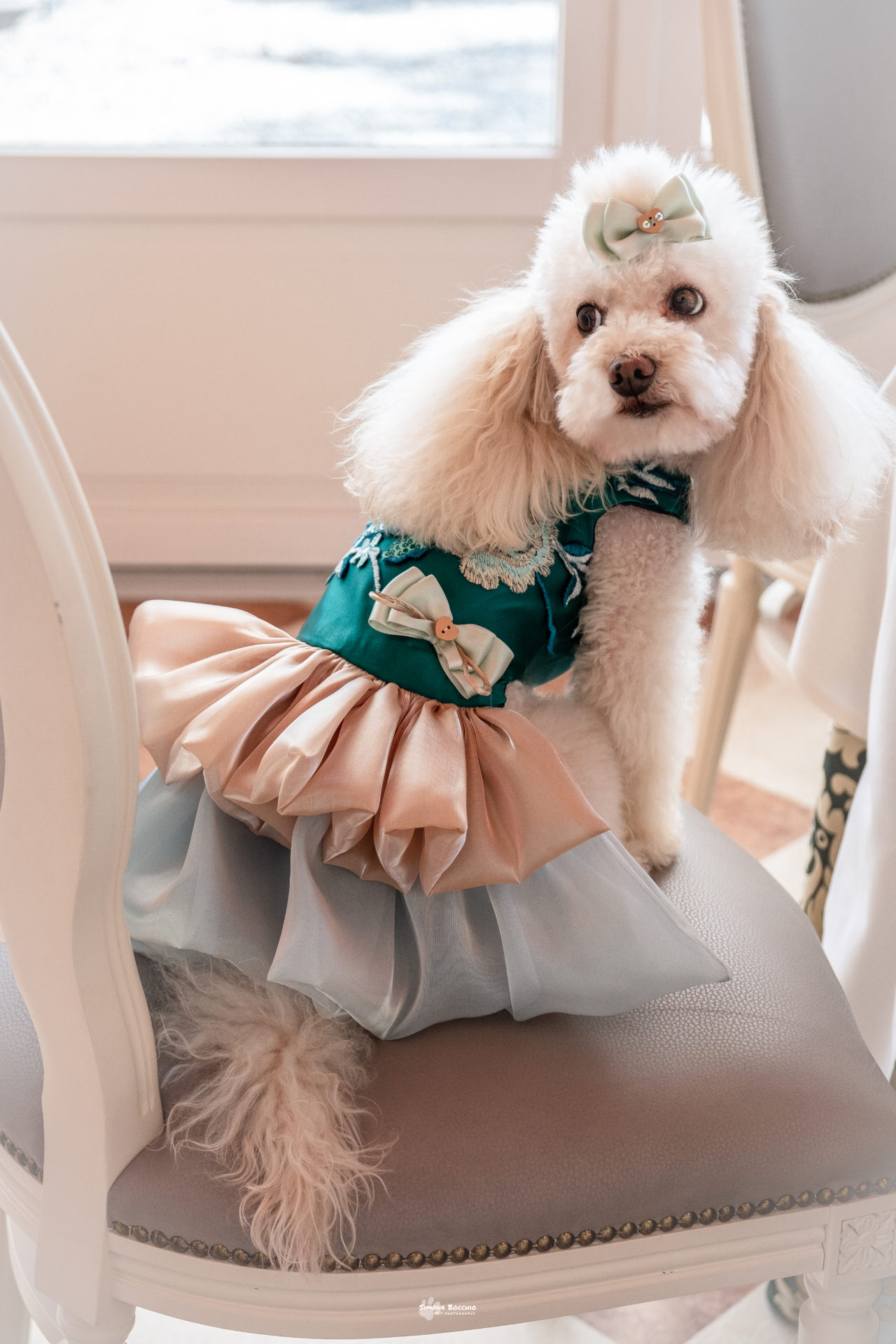 Abito in raso e organza - immagine 5