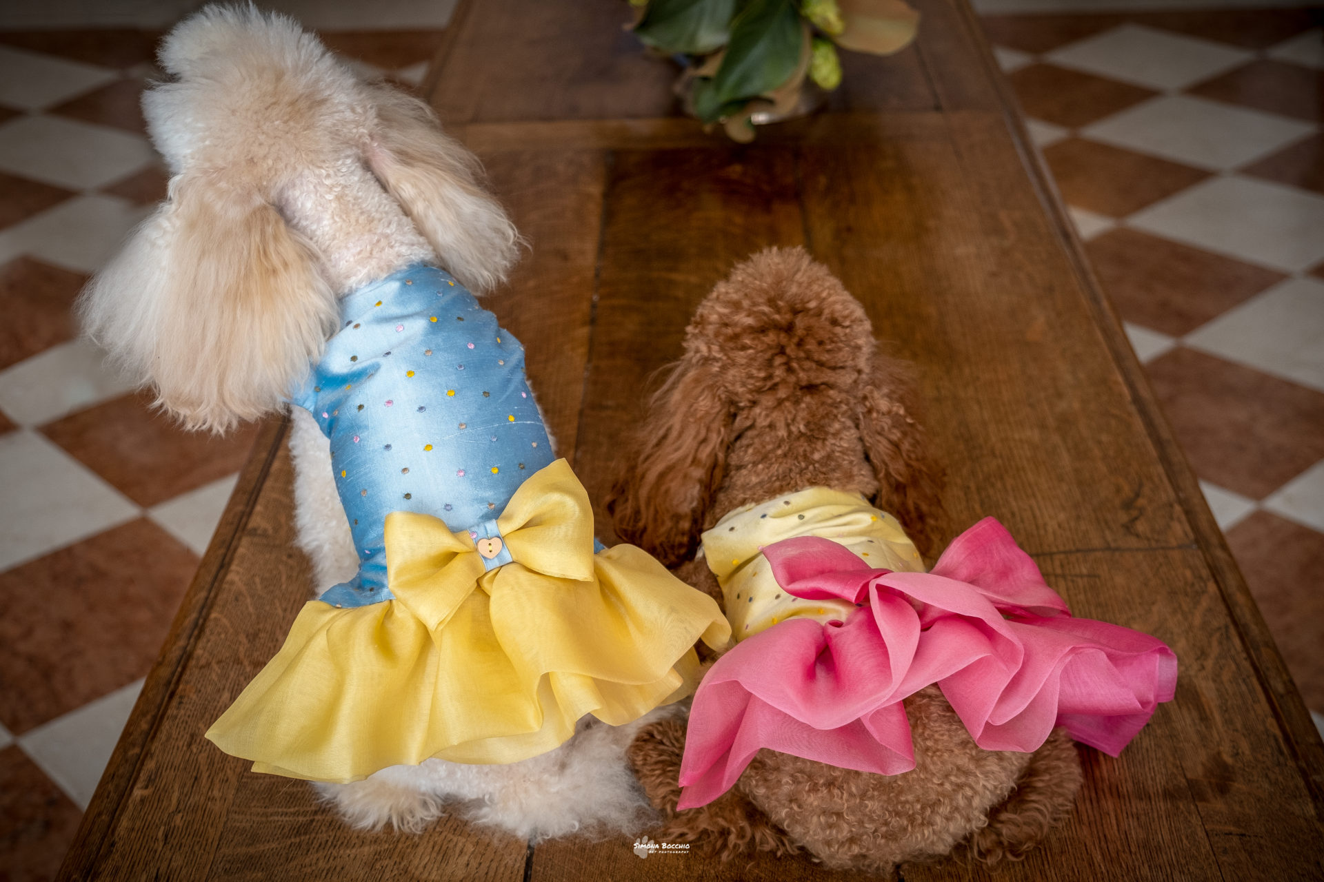 Abito in shantung a pois - immagine 3