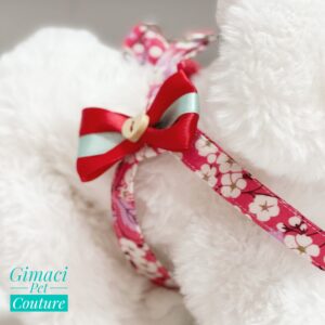 Pettorina a ponte Alice