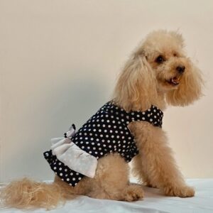 Abito in cotone e chiffon nero a pois Amelie