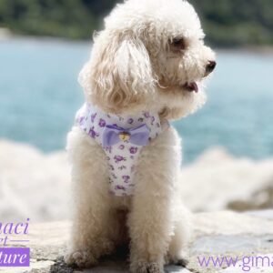 Pettorina in cotone provenzale rose violette/lilla