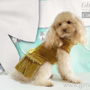 Abito in velluto oro con miniborchie