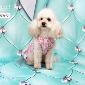 Abito in cotone Londinese con merletto rosa antico