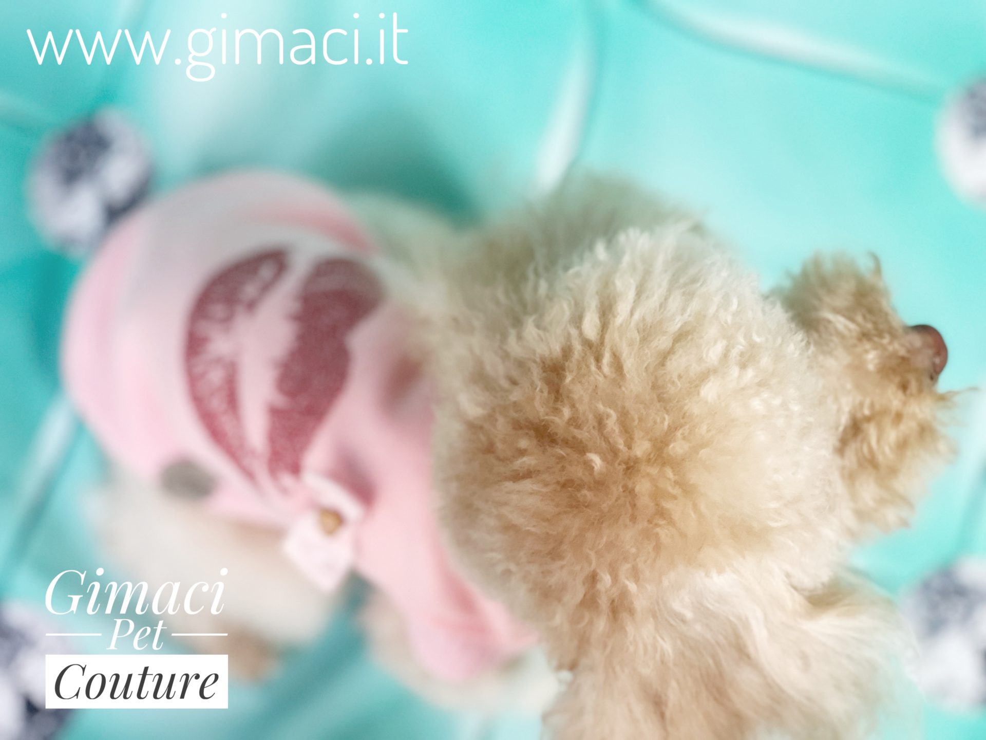 Felpa con mini borchie - immagine 4
