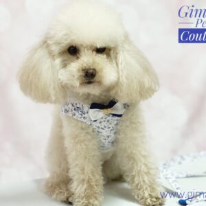 Pettorina in cotone provenzale blu