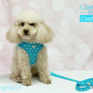Pettorina in cotone azzurra star